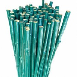 BOTANİKA 163702 BAMBU BİTKİ DESTEK ÇUBUĞU 60CM