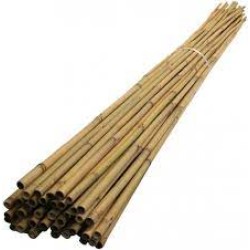 BOTANİKA 63713 BAMBU BİTKİ DESTEK ÇUBUĞU 120CM