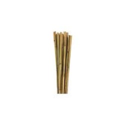 BOTANİKA 63718 BAMBU BİTKİ DESTEK ÇUBUĞU 180CM