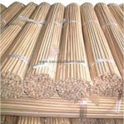 BOTANİKA 63723 BAMBU BİTKİ DESTEK ÇUBUĞU 240CM